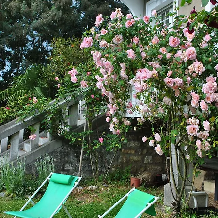 Bed & Breakfast Hortebise Salies-de-Bearn