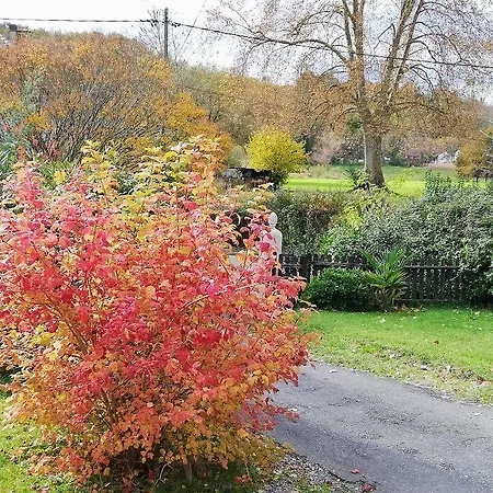 Hortebise