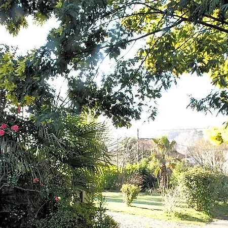 Bed and Breakfast Hortebise Salies-de-Béarn
