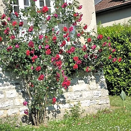 Hortebise Bed and Breakfast