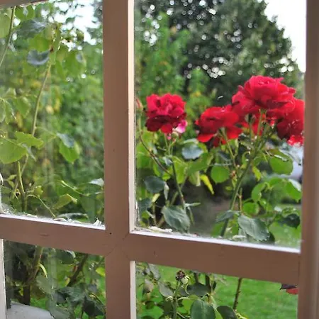 Bed and Breakfast Hortebise 4*