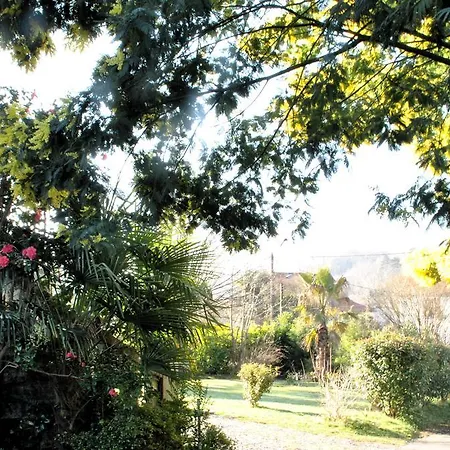 Bed and Breakfast Hortebise Salies-de-Béarn