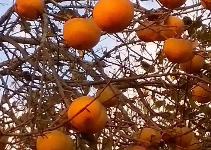 Couette-café Hortebise Salies-de-Béarn