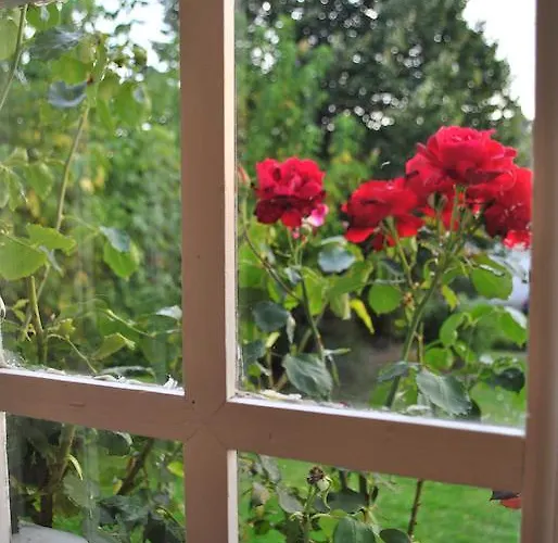 Couette-café Hortebise 4*