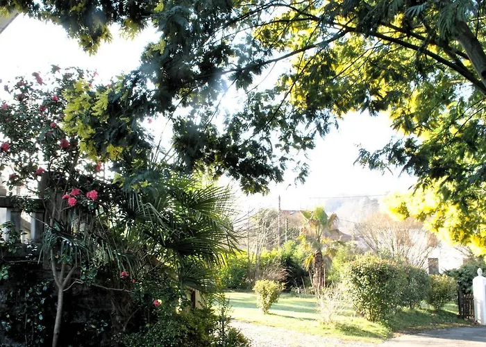 Couette-café Hortebise Salies-de-Béarn