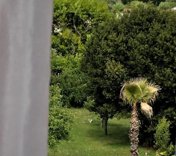 Hortebise Salies-de-Béarn